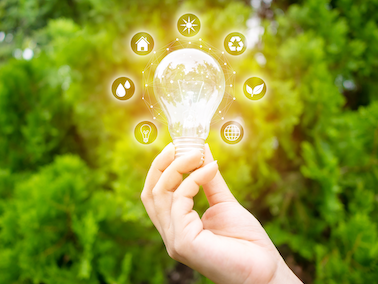 Energy efficient lightbulb surrounded by sustainability icons
